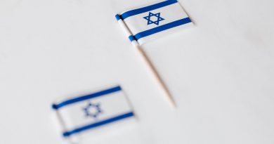 israel miniature flag on white surface