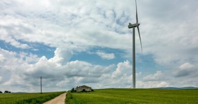 white wind turbine on green grass field under white clouds and blue sky