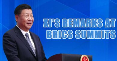 Xi’s remarks at BRICS summits