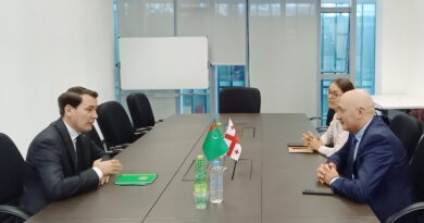 Ambassador of Turkmenistan in Georgia met with Deputy Minister of Economy and Sustainable Development of Georgia