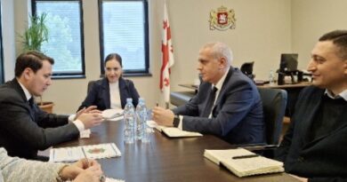 Ambassador of Turkmenistan met with Deputy Minister of Culture of Georgia