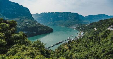 photo of river near mountains covered with trees