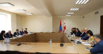 В Ереване состоялись двусторонние политические консультации между министерствами иностранных дел Республики Армения и Грузии.