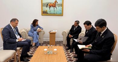 Meeting of the heads of foreign policy departments of Turkmenistan and Georgia