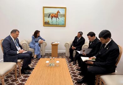 Meeting of the heads of foreign policy departments of Turkmenistan and Georgia