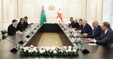 Состоялась встреча Президента Грузии и главы МИД Туркменистана