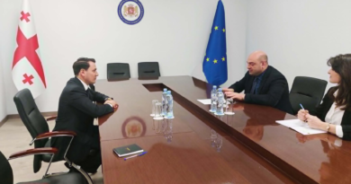 Meeting of the Ambassador of Turkmenistan at the Ministry of Foreign Affairs of Georgia