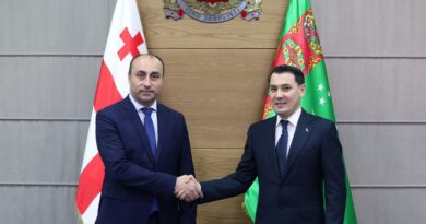 Bстреча Посла Туркменистана в Грузии с Министром внутренних дел Грузии