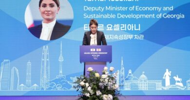 თამარ იოსელიანი: კორეის ვაჭრობისა და ინვესტიციების ხელშეწყობის სააგენტოს ოფისის გახსნა ხელს შეუწყობს საქართველოში ახალი ინვესტიციების მოზიდვას და ერთობლივი საწარმოების შექმნას