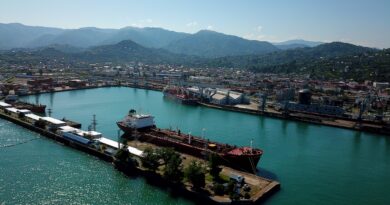 Батумский морской порт успешно подтвердил статус «Зелёного порта»