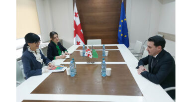Meeting of Ambassador of Turkmenistan with State Minister of Georgia
