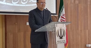 Конституция Ирана гарантирует право на протесты при соблюдении общественного порядка — посол Ирана в Грузии