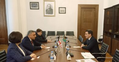 Встреча в Парламенте Грузии: приоритеты межпарламентского взаимодействия