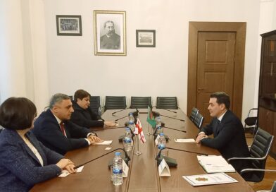 Встреча в Парламенте Грузии: приоритеты межпарламентского взаимодействия