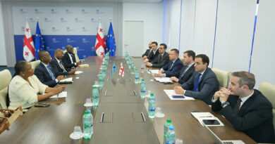 ეკონომიკის მინისტრის მოადგილეებმა ბოტსვანას დელეგაციას ეკონომიკური რეფორმები გააცნეს