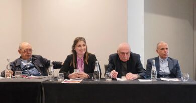 სტრატეგიული მეგზური ადამიანზე ორიენტირებული ჯანდაცვის სისტემის ჩამოსაყალიბებლად