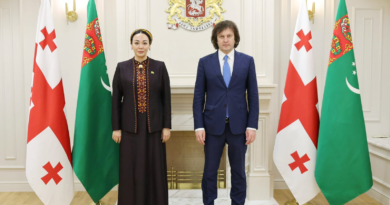 Meeting of the Chairperson of the Mejlis of Turkmenistan with Prime Minister of Georgia