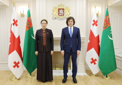 Встреча Председателя Меджлиса Туркменистана с Премьер-министром Грузии
