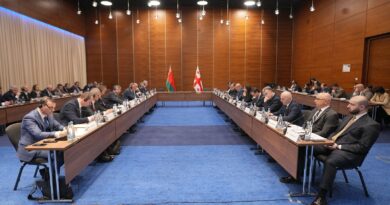 თბილისში საქართველო-ბელარუსის მთავრობათაშორისი ეკონომიკური თანამშრომლობის კომისიის მეშვიდე სხდომა გაიმართა თბილისში