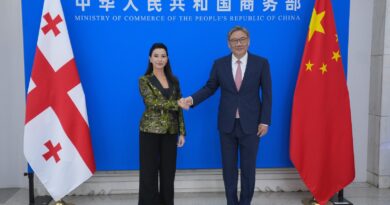 В Пекине состоялись переговоры между министром экономики и устойчивого развития Грузии Мариам Квривишвили и министром коммерции Китайской Народной Республики