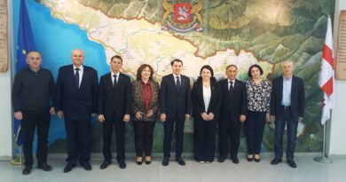 Круглый стол: Туркменистан и Грузия актуальные вопросы двустороннего сотрудничества