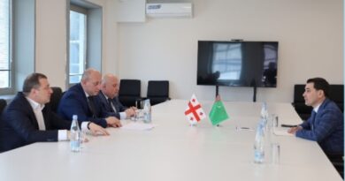 Meeting between the Ambassador of Turkmenistan and the Deputy Minister of Foreign Affairs of Georgia