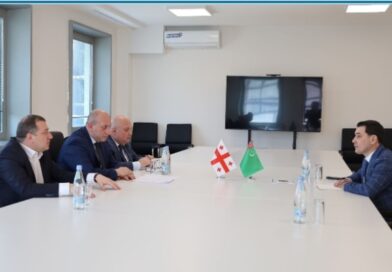 Meeting between the Ambassador of Turkmenistan and the Deputy Minister of Foreign Affairs of Georgia