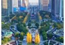 China’s Green Glow-Up: Foreigners stunned by urban oases