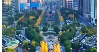 China’s Green Glow-Up: Foreigners stunned by urban oases