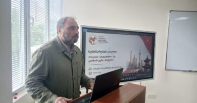 В Грузии стартовала серия семинаров о социальной и экономической модели Китая