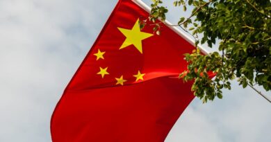 chinese national flag waving amongst trees outdoors