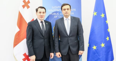The development of cooperation in the field of human rights protection.